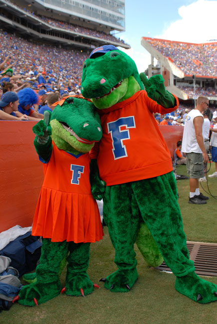 University of Florida Gators